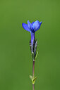 BUITEN BEELD Foto: 445260