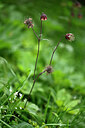 BUITEN BEELD Foto: 445267
