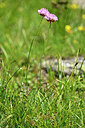 BUITEN BEELD Foto: 445268
