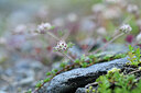 BUITEN BEELD Foto: 445272