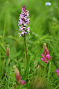 BUITEN BEELD Foto: 445278