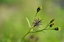 BUITEN BEELD Foto: 445283