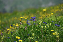 BUITEN BEELD Foto: 445289