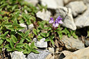 BUITEN BEELD Foto: 445290