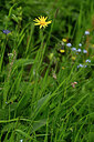 BUITEN BEELD Foto: 445293
