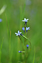 BUITEN BEELD Foto: 445295