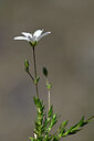 BUITEN BEELD Foto: 445298