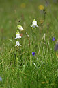BUITEN BEELD Foto: 445301