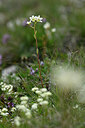BUITEN BEELD Foto: 445310