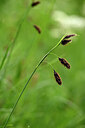 BUITEN BEELD Foto: 445314