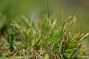 BUITEN BEELD Foto: 445315
