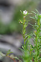 BUITEN BEELD Foto: 445316