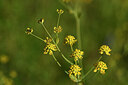 BUITEN BEELD Foto: 445320