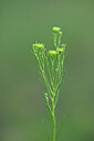 BUITEN BEELD Foto: 445322