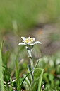 BUITEN BEELD Foto: 445326