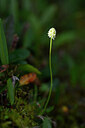 BUITEN BEELD Foto: 445329