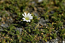 BUITEN BEELD Foto: 445330