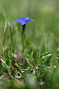 BUITEN BEELD Foto: 445345