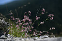 BUITEN BEELD Foto: 445346