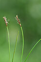BUITEN BEELD Foto: 445347