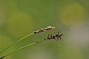 BUITEN BEELD Foto: 445350
