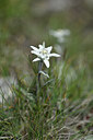 BUITEN BEELD Foto: 445351