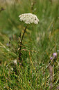 BUITEN BEELD Foto: 445354