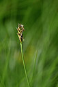 BUITEN BEELD Foto: 445356