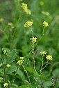 BUITEN BEELD Foto: 445358
