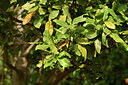 BUITEN BEELD Foto: 445373