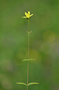 BUITEN BEELD Foto: 445382