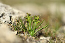 BUITEN BEELD Foto: 445386