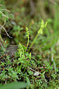 BUITEN BEELD Foto: 445389