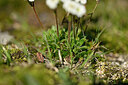 BUITEN BEELD Foto: 445400