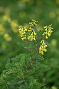 BUITEN BEELD Foto: 445401