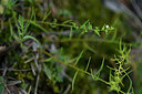 BUITEN BEELD Foto: 445402
