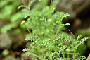 BUITEN BEELD Foto: 445404