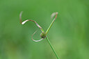 BUITEN BEELD Foto: 445405