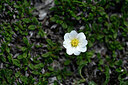 BUITEN BEELD Foto: 445408