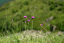 BUITEN BEELD Foto: 445409