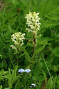 BUITEN BEELD Foto: 445410
