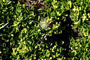 BUITEN BEELD Foto: 445416