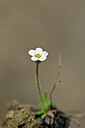 BUITEN BEELD Foto: 445417