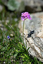 BUITEN BEELD Foto: 445418
