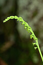 BUITEN BEELD Foto: 445422