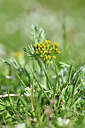 BUITEN BEELD Foto: 445425