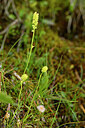 BUITEN BEELD Foto: 445426