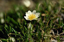BUITEN BEELD Foto: 445428