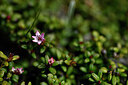 BUITEN BEELD Foto: 445429