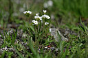 BUITEN BEELD Foto: 445433